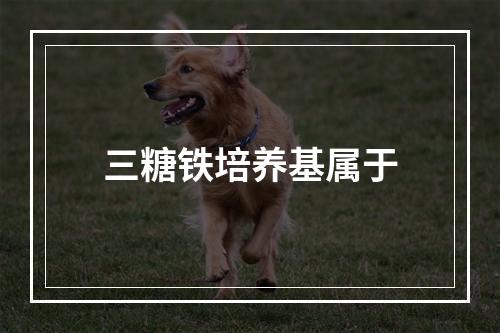 三糖铁培养基属于