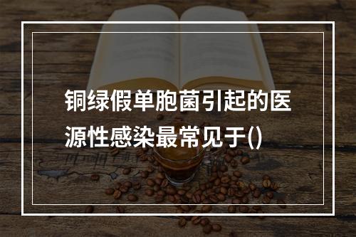 铜绿假单胞菌引起的医源性感染最常见于()