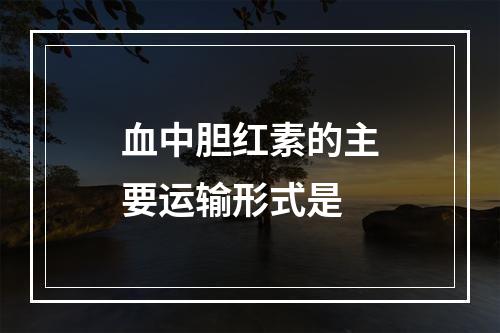 血中胆红素的主要运输形式是