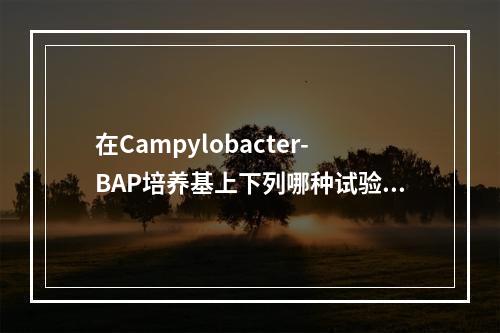 在Campylobacter-BAP培养基上下列哪种试验可以