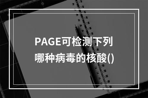 PAGE可检测下列哪种病毒的核酸()