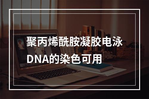 聚丙烯酰胺凝胶电泳DNA的染色可用