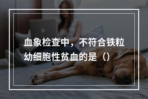 血象检查中，不符合铁粒幼细胞性贫血的是（）