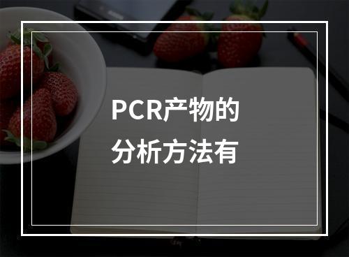 PCR产物的分析方法有