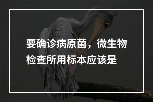 要确诊病原菌，微生物检查所用标本应该是