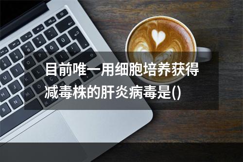 目前唯一用细胞培养获得减毒株的肝炎病毒是()