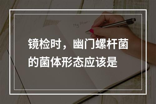 镜检时，幽门螺杆菌的菌体形态应该是