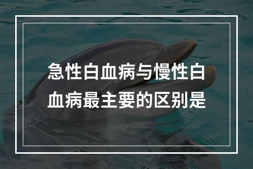 急性白血病与慢性白血病最主要的区别是