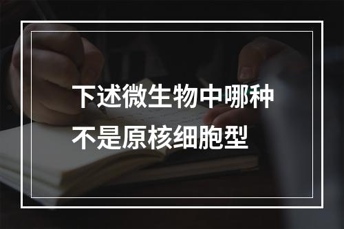 下述微生物中哪种不是原核细胞型