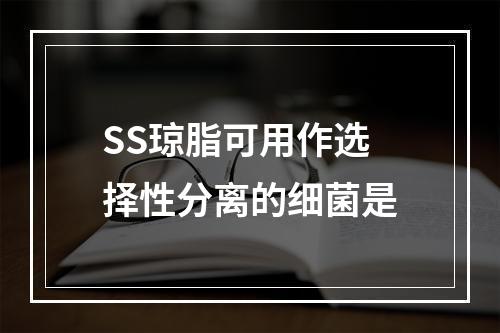 SS琼脂可用作选择性分离的细菌是