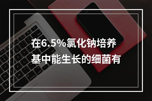 在6.5%氯化钠培养基中能生长的细菌有