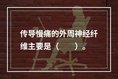 传导慢痛的外周神经纤维主要是（　　）。