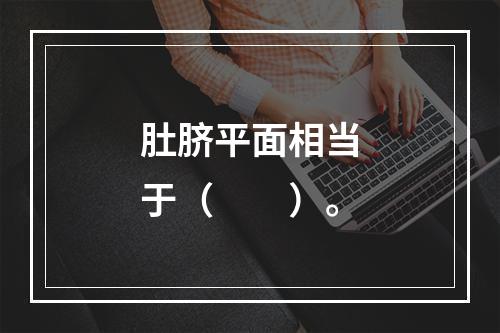 肚脐平面相当于（　　）。