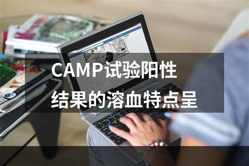 CAMP试验阳性结果的溶血特点呈