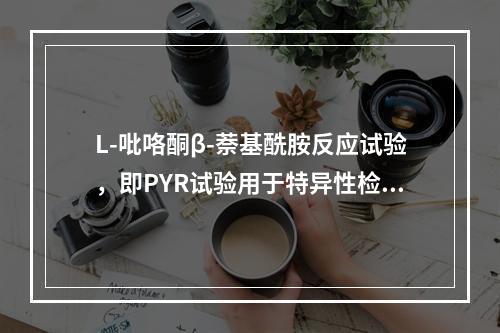 L-吡咯酮β-萘基酰胺反应试验，即PYR试验用于特异性检测的