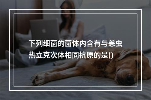 下列细菌的菌体内含有与恙虫热立克次体相同抗原的是()