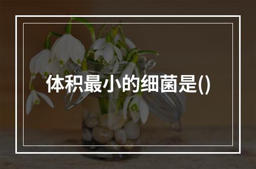 体积最小的细菌是()