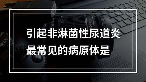 引起非淋菌性尿道炎最常见的病原体是