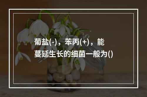 葡盐(-)，苯丙(+)，能蔓延生长的细菌一般为()