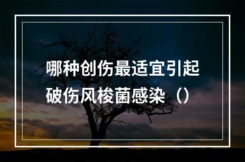 哪种创伤最适宜引起破伤风梭菌感染（）