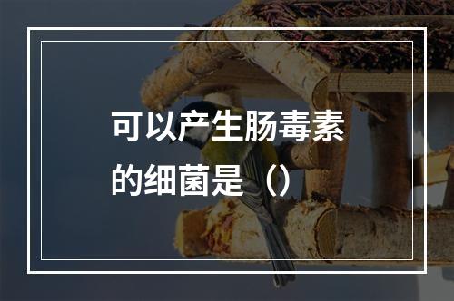 可以产生肠毒素的细菌是（）