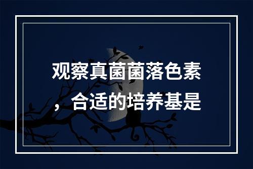 观察真菌菌落色素，合适的培养基是