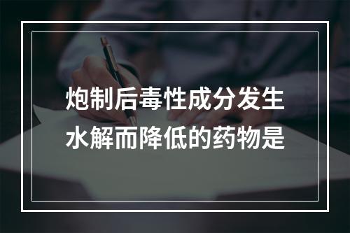 炮制后毒性成分发生水解而降低的药物是