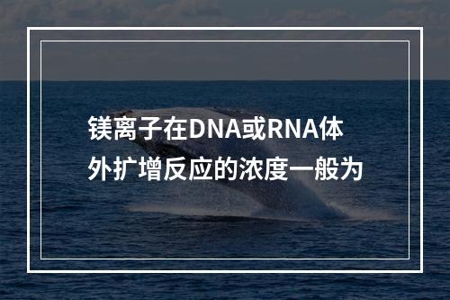 镁离子在DNA或RNA体外扩增反应的浓度一般为