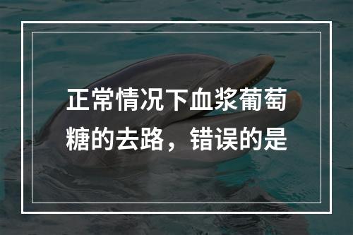 正常情况下血浆葡萄糖的去路，错误的是