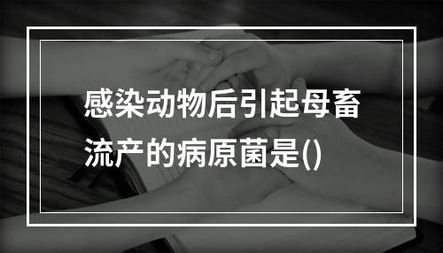 感染动物后引起母畜流产的病原菌是()