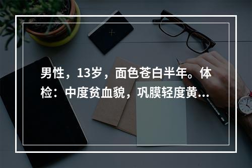 男性，13岁，面色苍白半年。体检：中度贫血貌，巩膜轻度黄染，