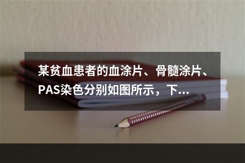 某贫血患者的血涂片、骨髓涂片、PAS染色分别如图所示，下列说