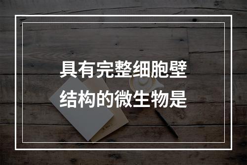 具有完整细胞壁结构的微生物是