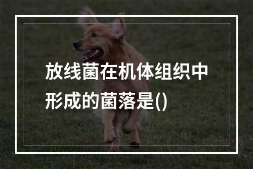 放线菌在机体组织中形成的菌落是()