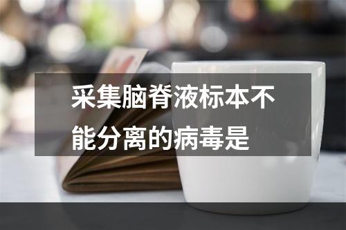 采集脑脊液标本不能分离的病毒是