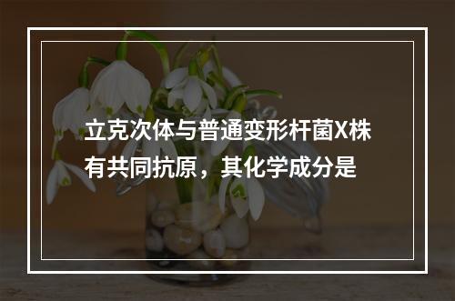 立克次体与普通变形杆菌X株有共同抗原，其化学成分是