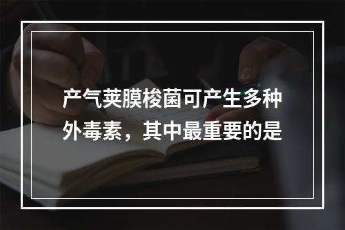 产气荚膜梭菌可产生多种外毒素，其中最重要的是