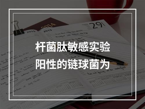 杆菌肽敏感实验阳性的链球菌为