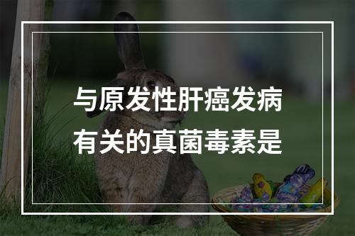 与原发性肝癌发病有关的真菌毒素是