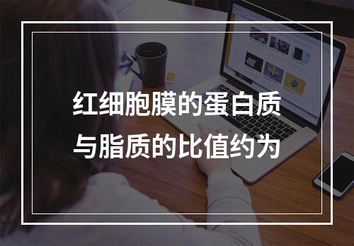 红细胞膜的蛋白质与脂质的比值约为