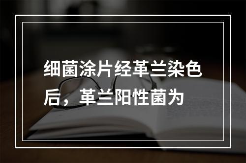 细菌涂片经革兰染色后，革兰阳性菌为