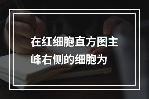 在红细胞直方图主峰右侧的细胞为