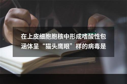 在上皮细胞胞核中形成嗜酸性包涵体呈“猫头鹰眼”样的病毒是