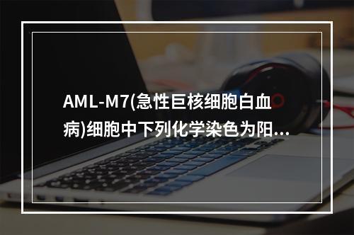 AML-M7(急性巨核细胞白血病)细胞中下列化学染色为阳性的