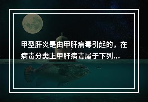 甲型肝炎是由甲肝病毒引起的，在病毒分类上甲肝病毒属于下列哪一