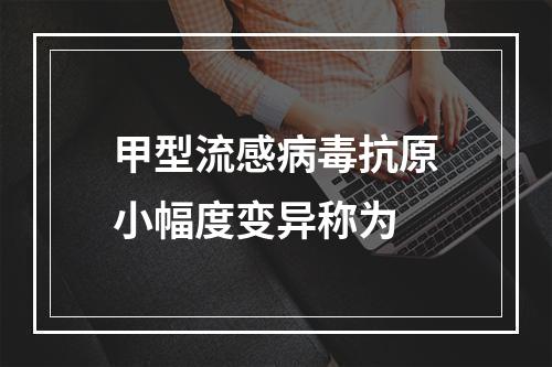 甲型流感病毒抗原小幅度变异称为