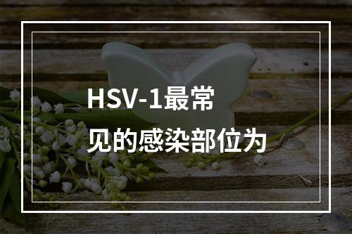 HSV-1最常见的感染部位为