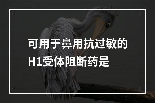 可用于鼻用抗过敏的H1受体阻断药是