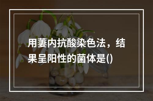 用萋内抗酸染色法，结果呈阳性的菌体是()