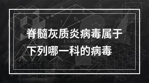 脊髓灰质炎病毒属于下列哪一科的病毒